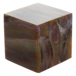 Cube Bois Fossile/Silicifié - 3,5 cm